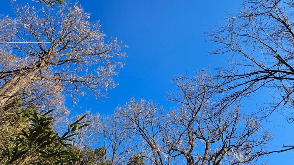 Yangyang Little Forest Pension Luaran gambar